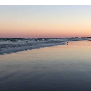 Meet your Posher, Shelly